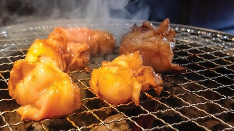 Iroriya Hormone Hatchobori