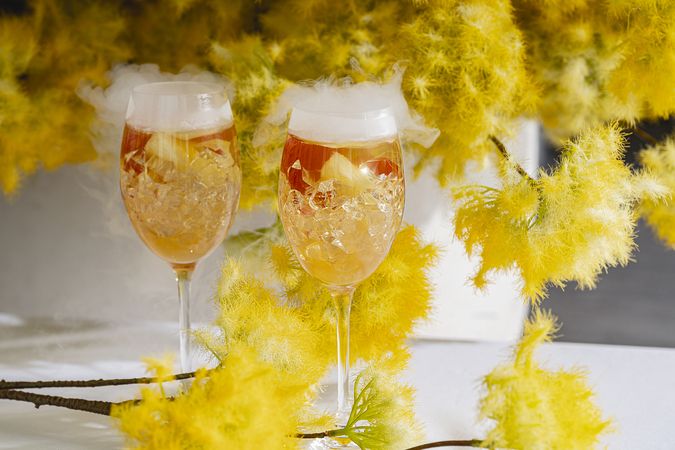 ザ ジャクソンガーデン