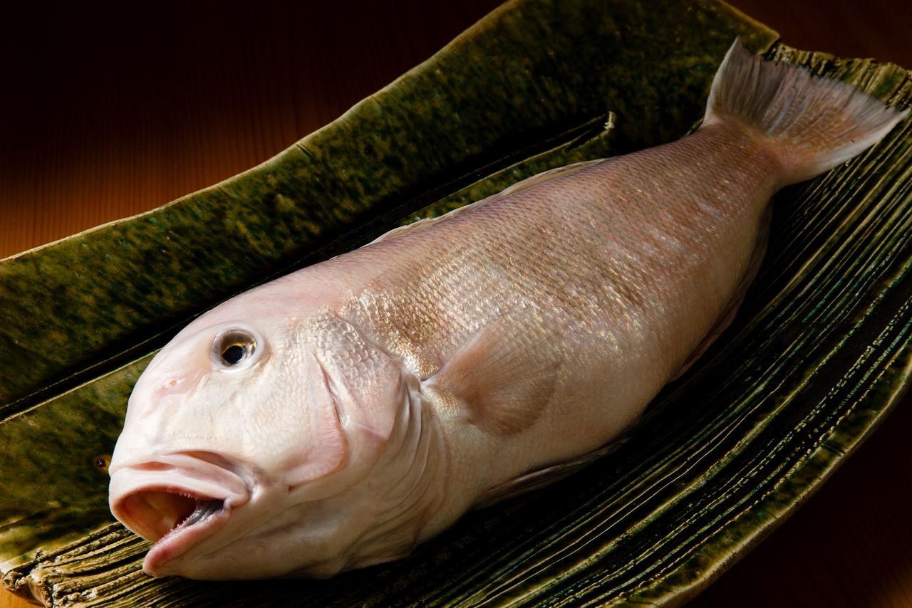 SPコース        100000円（カウンター）