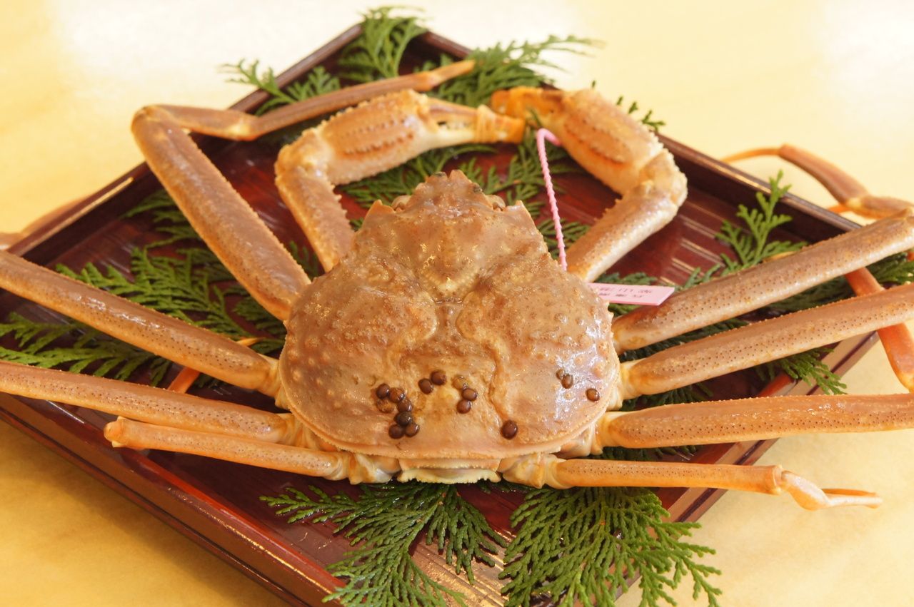 [Luxury Winter Crab Course] Featuring Whole Live Matsuba Crab