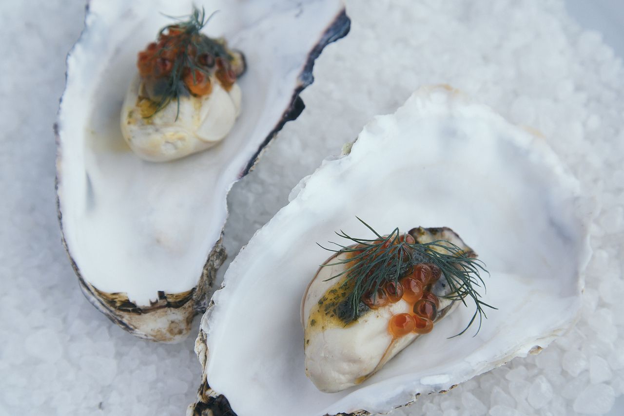 【10 People〜】Special Group Course Menu (Adult)