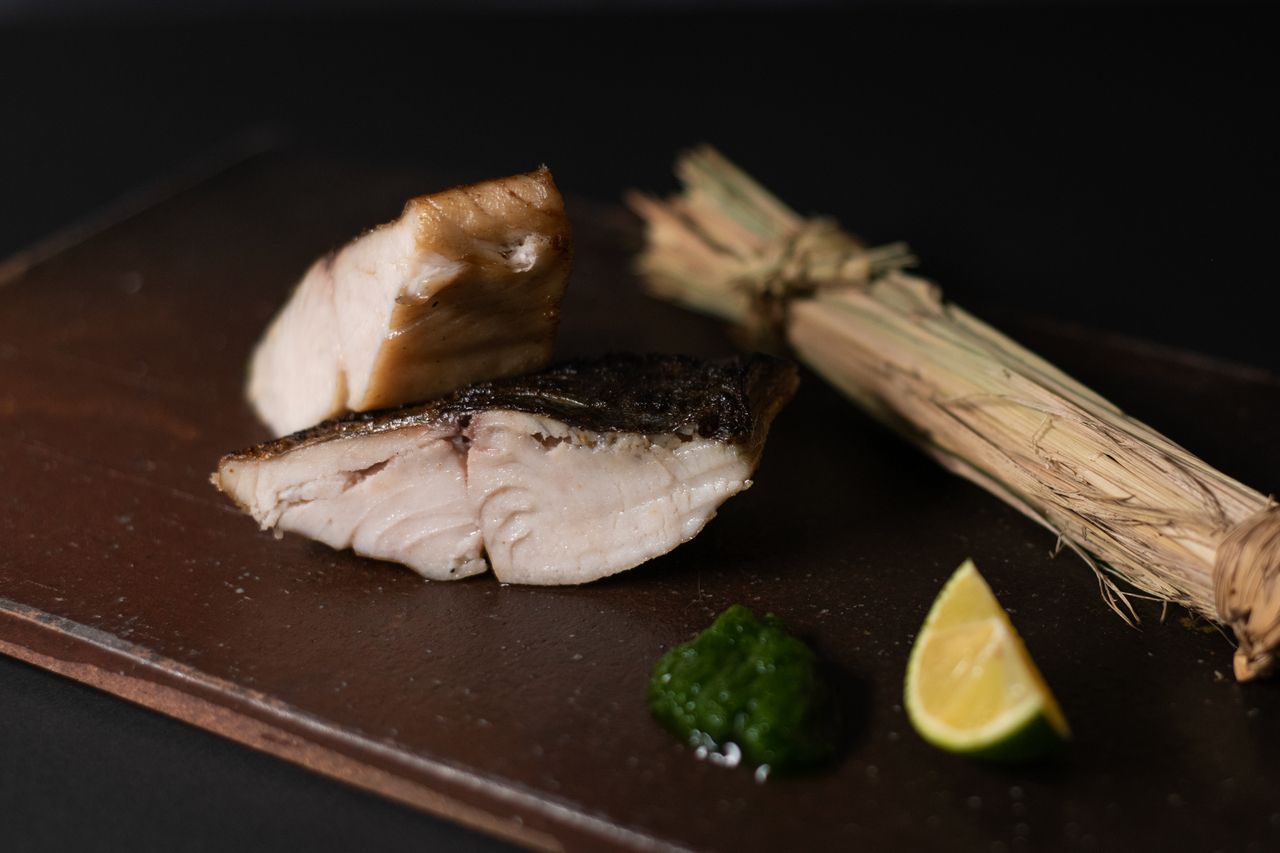 【炭火焼 旬のお魚コース】