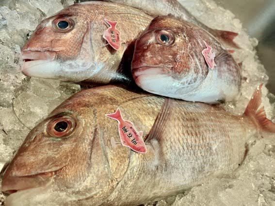 接待会合向けコース(カウンター)