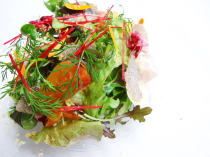 〈ランチ&ディナー共通〉Girasole　ジラソーレ　