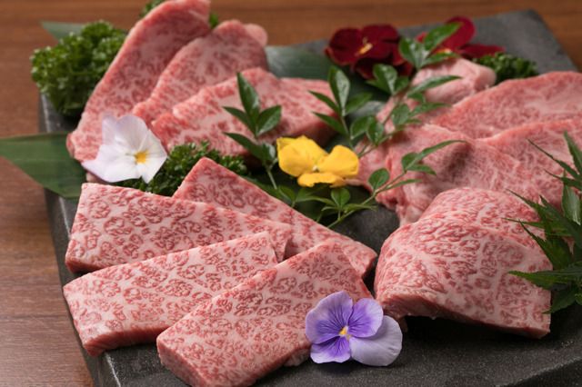 Cow Language Satisfaction Course