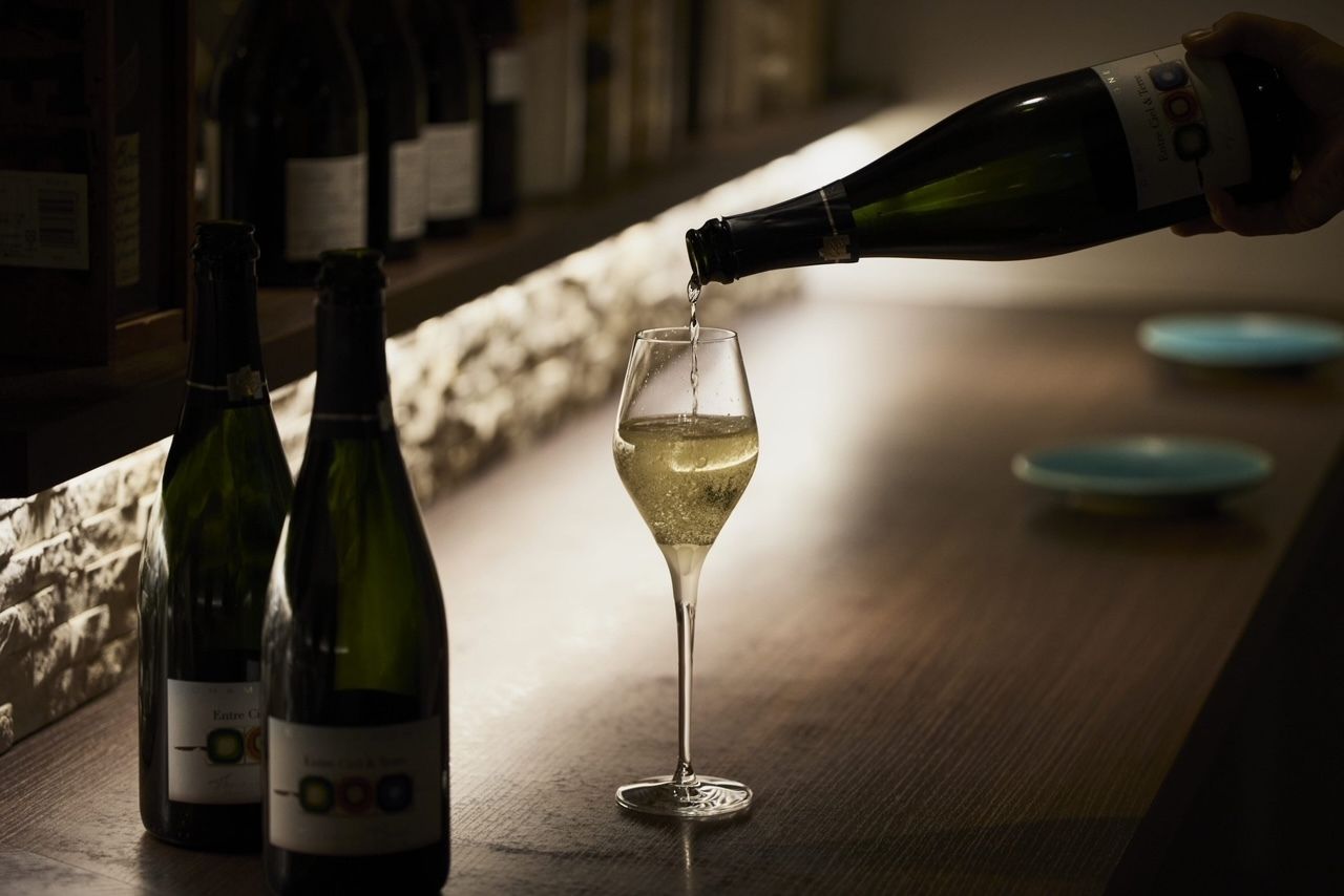 シェフおまかせ ディナーコース＋ペアリング