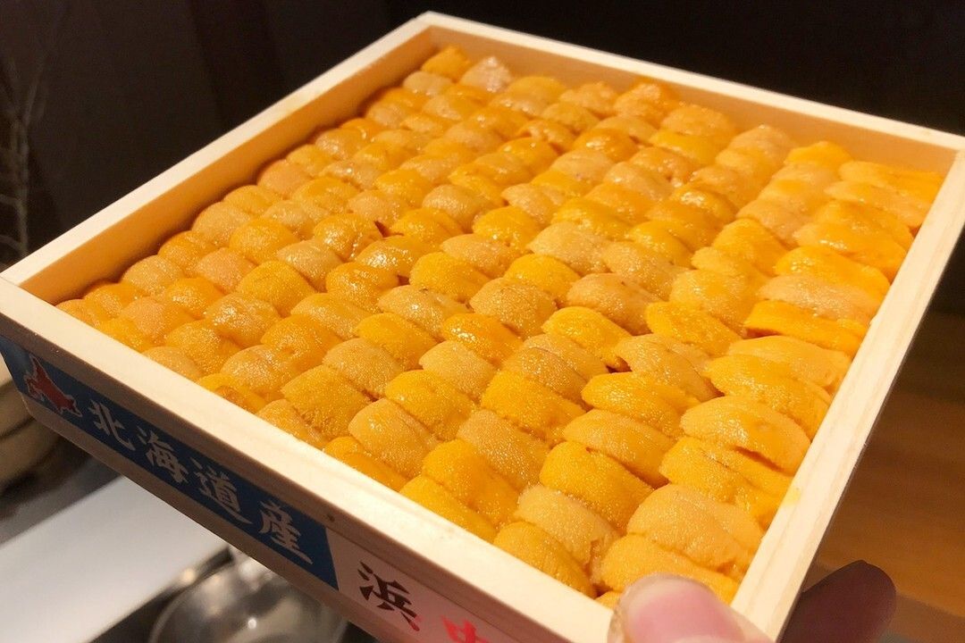 大将おまかせコース  55000円