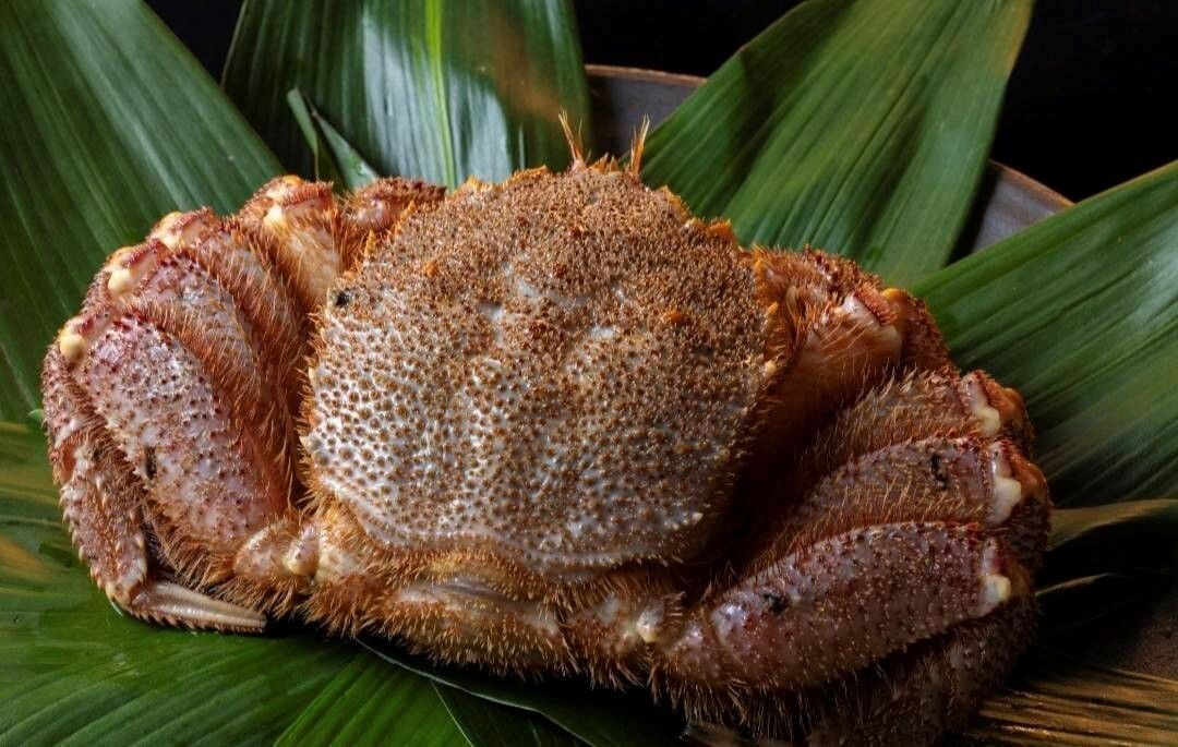 Domestic Matsutake Mushroom and Extra Large Hairy Crab Course [Up to 3 people] (Price shown is for 1 person)