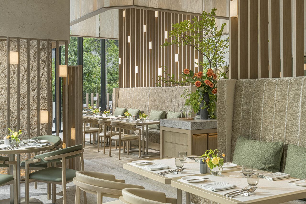 Plat-du-jour (Salad/Soup/Main/Tea or Coffee)