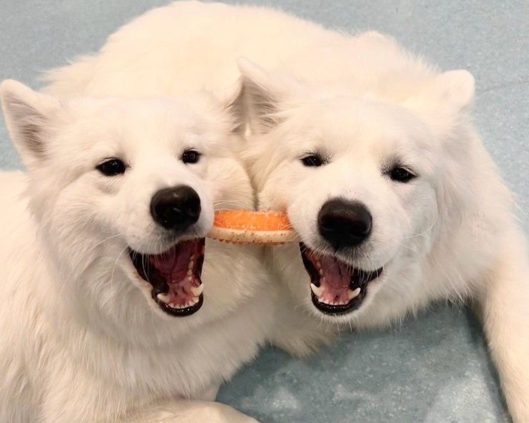 ≪土日祝≫通常チケット（50分）