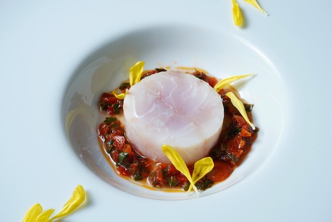 【MACERBO】【Xmas2025】ワインペアリング付クリスマスコース 