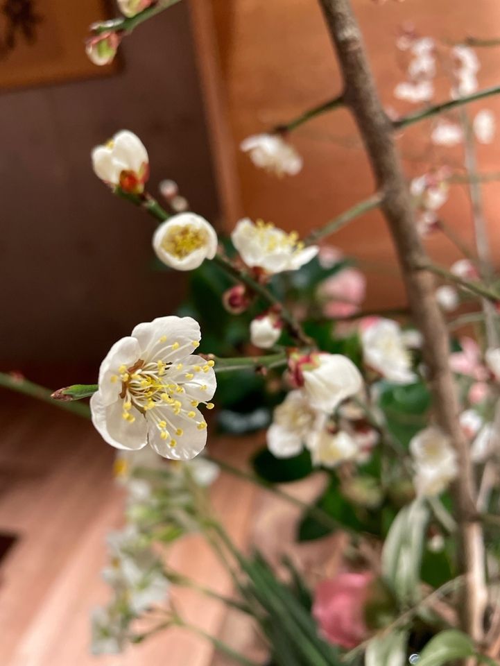 お正月メニュー