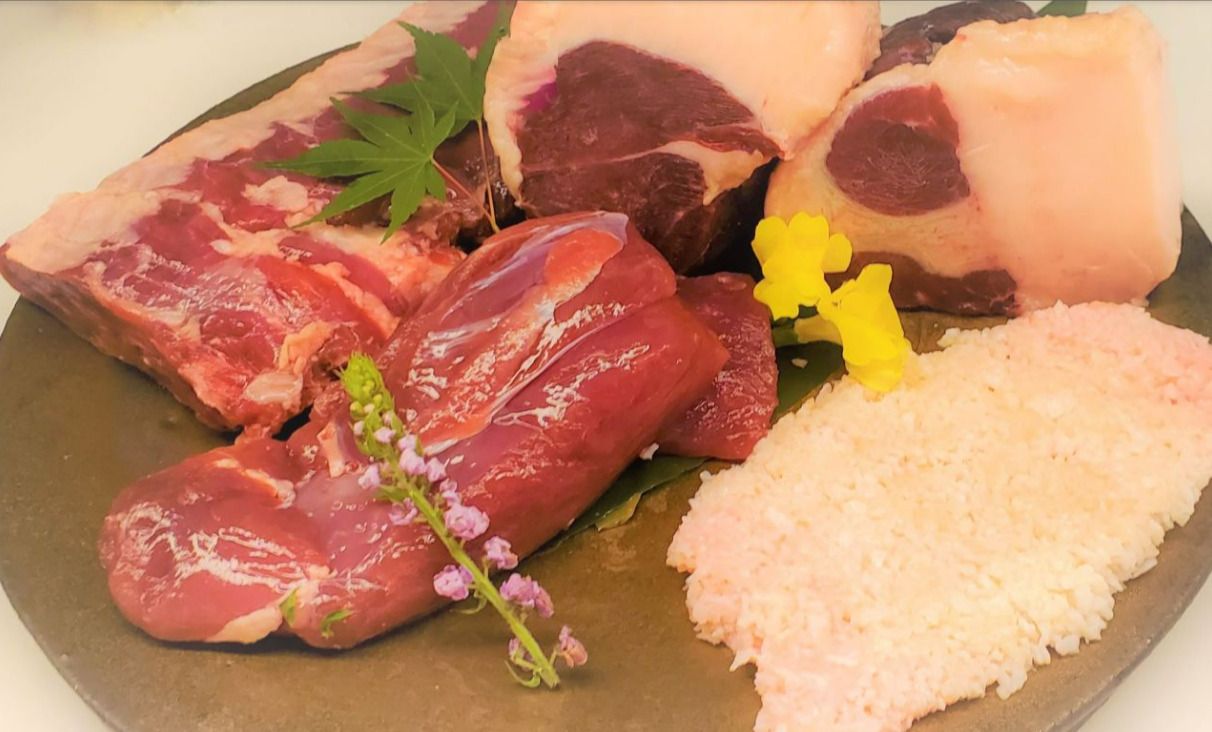 [Omakase] Gibier 和各种烤肉和烹饪课程