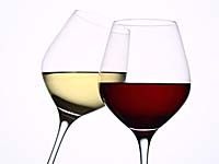 【追加オプション】ランチ限定  ワイン飲み放題パック≪土日祝≫