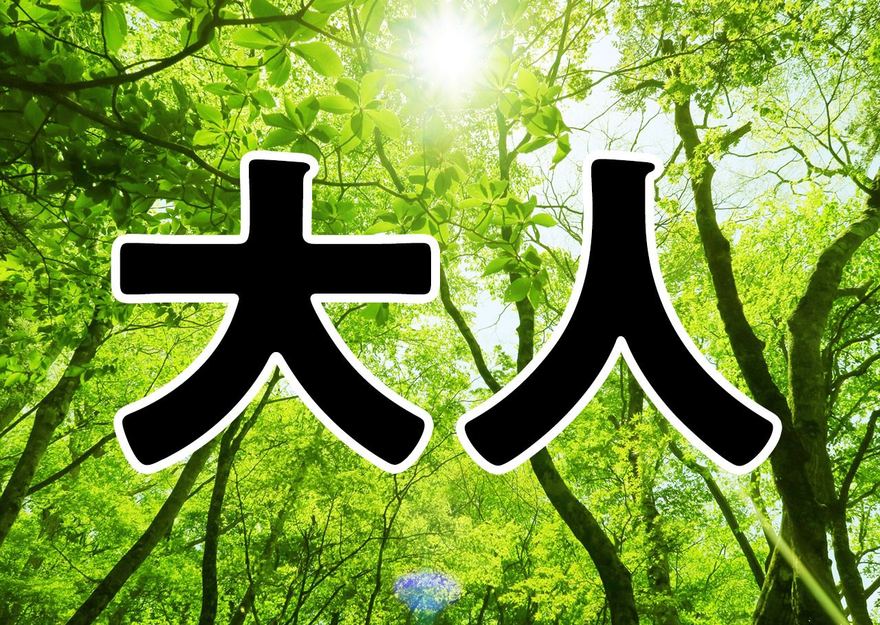 Usage fee: Weekdays [Adult]