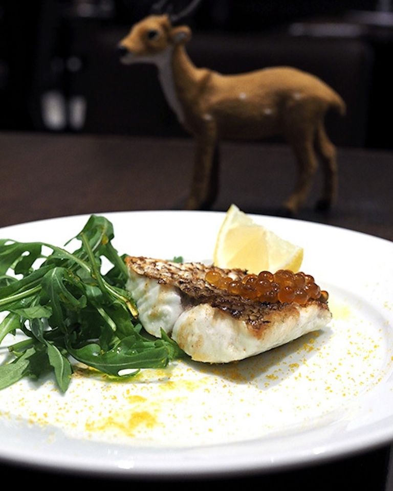 [Weekday Lunch] Pesce Pranzo "Grilled Fresh Fish"