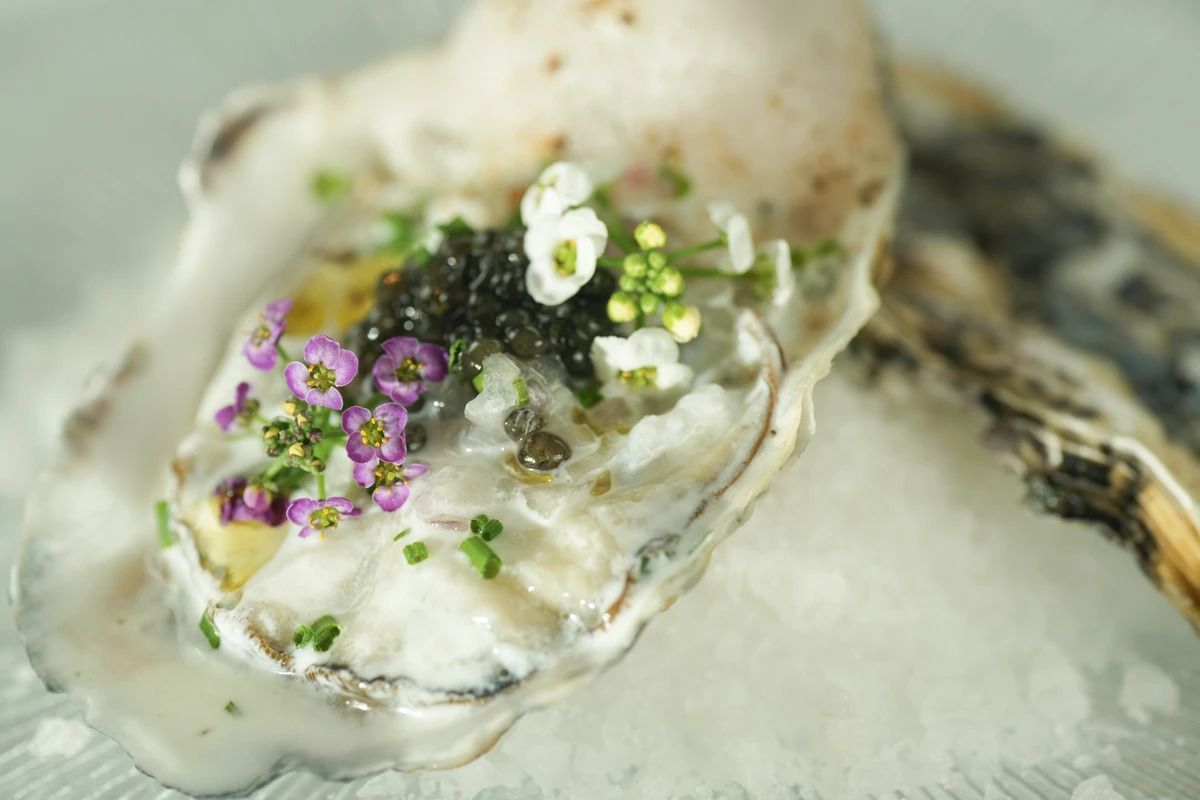 دورة إزالة الغبار من قبل الشيف شينغو سوزوكي