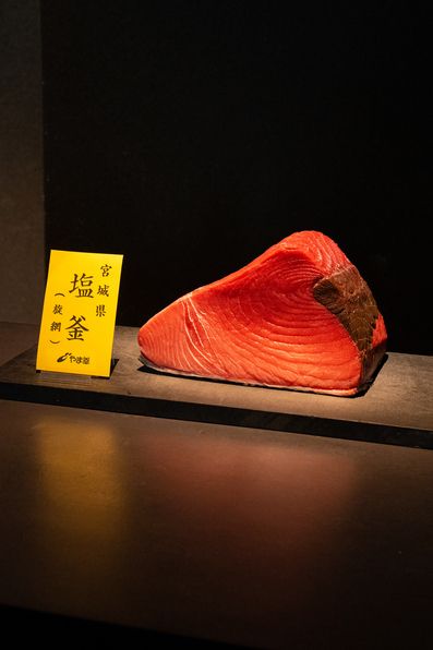 ”YAMAYUKI” TUNA NIGIRI-SUSHI Basic OMAKASE