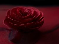 Christmas Dinner Menu 2025