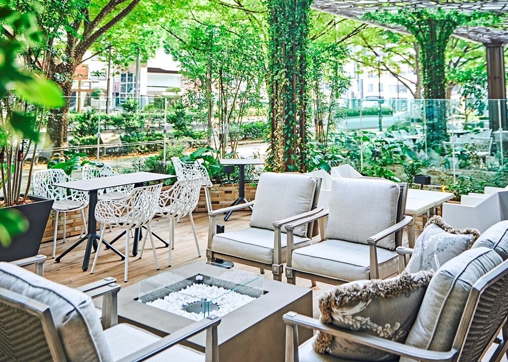 【表参道のケヤキ並木を眺めて】開放感テラスランチ