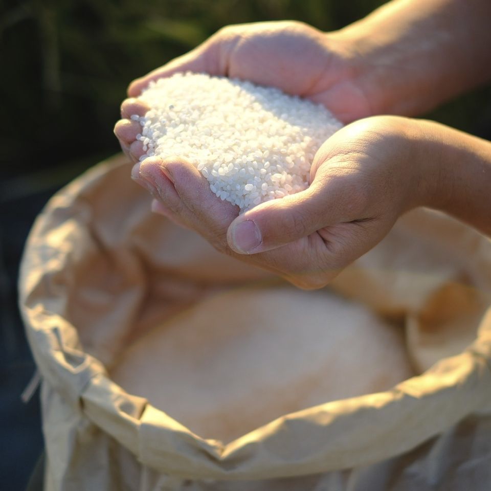 [Sushi] Yamada Farm x Tsuki no Katsura x Fushimino Sushi Mizuki Collaboration Event