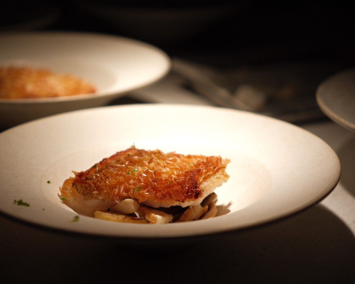 クリスマス特別コース