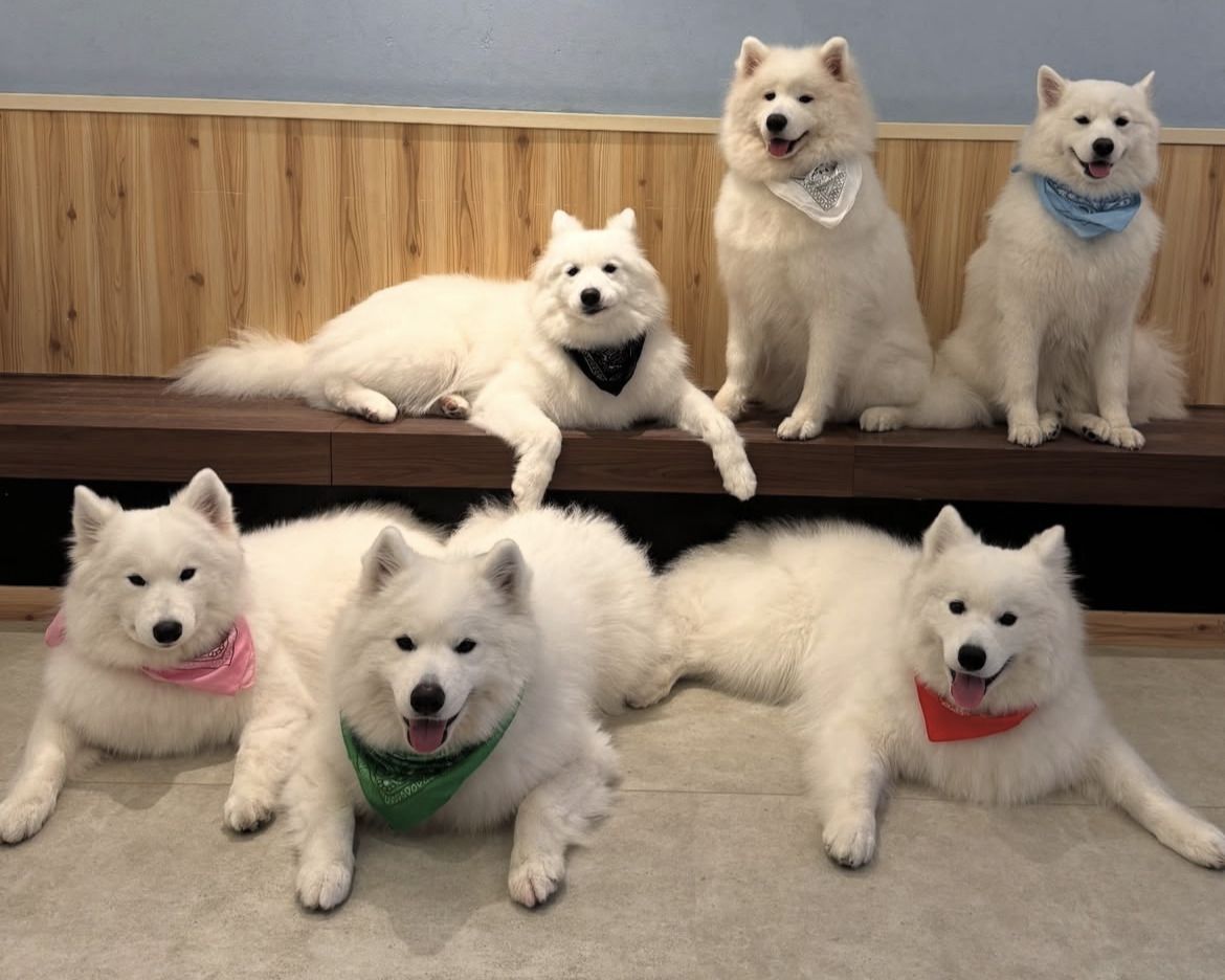  Regular ticket (50 minutes)