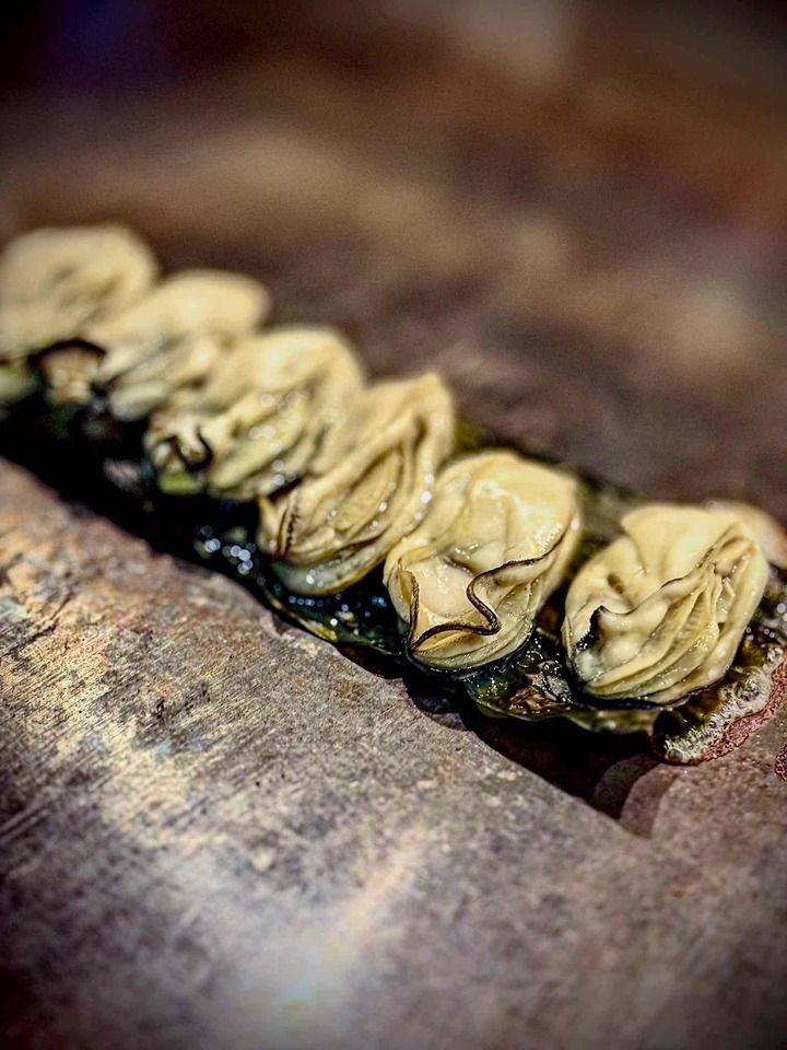 Bamboo Course