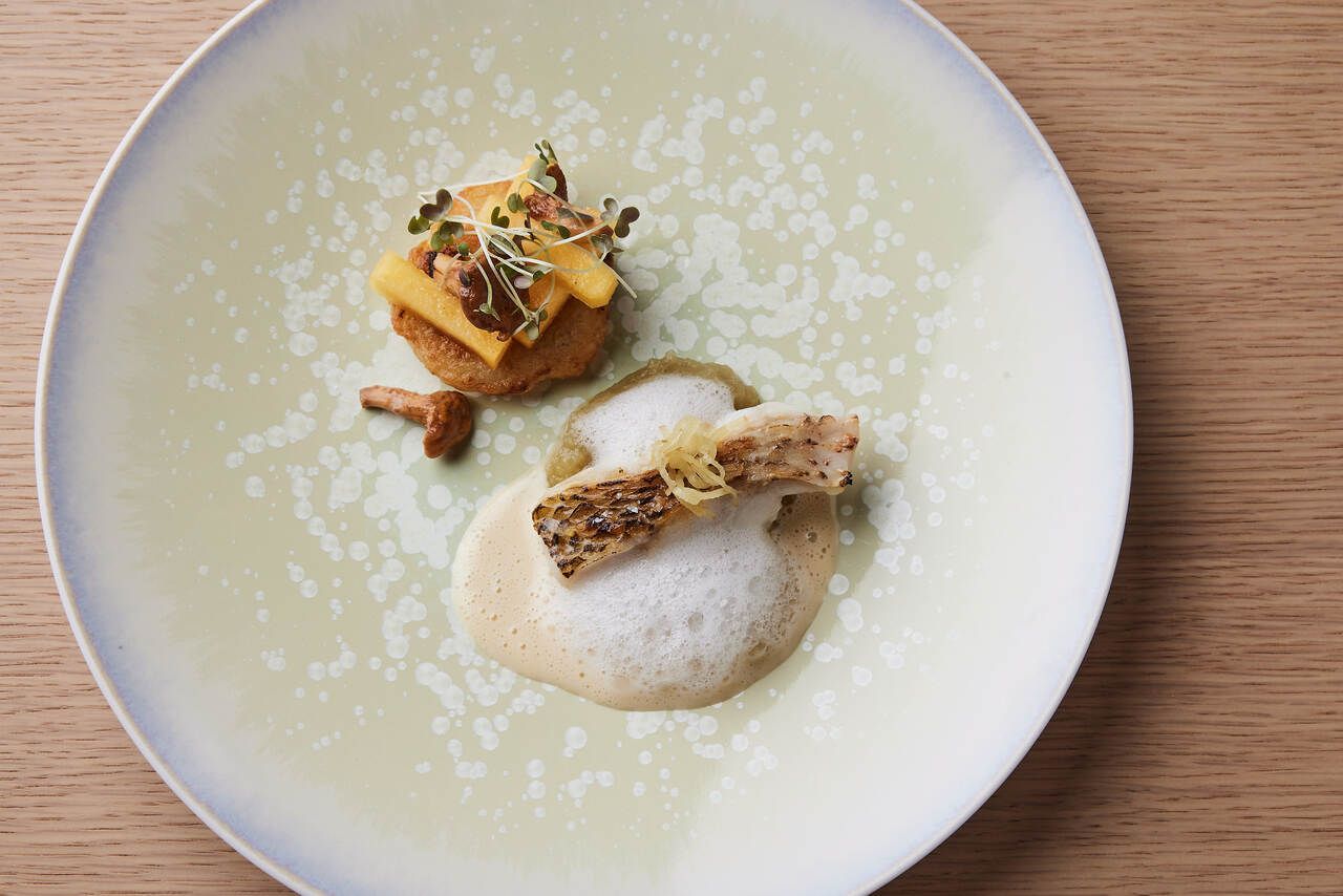 [March 16th only] Lunch course with 7 dishes