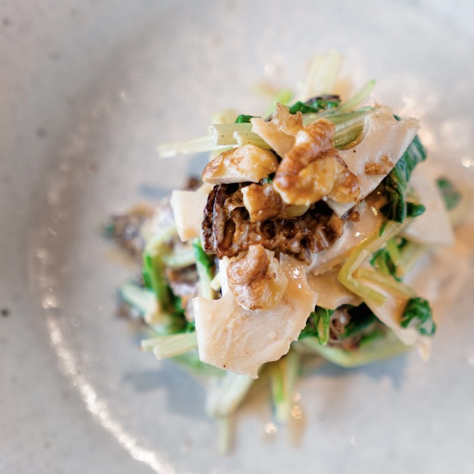 Light-style chef's choice【7 dishes (1 hour)】