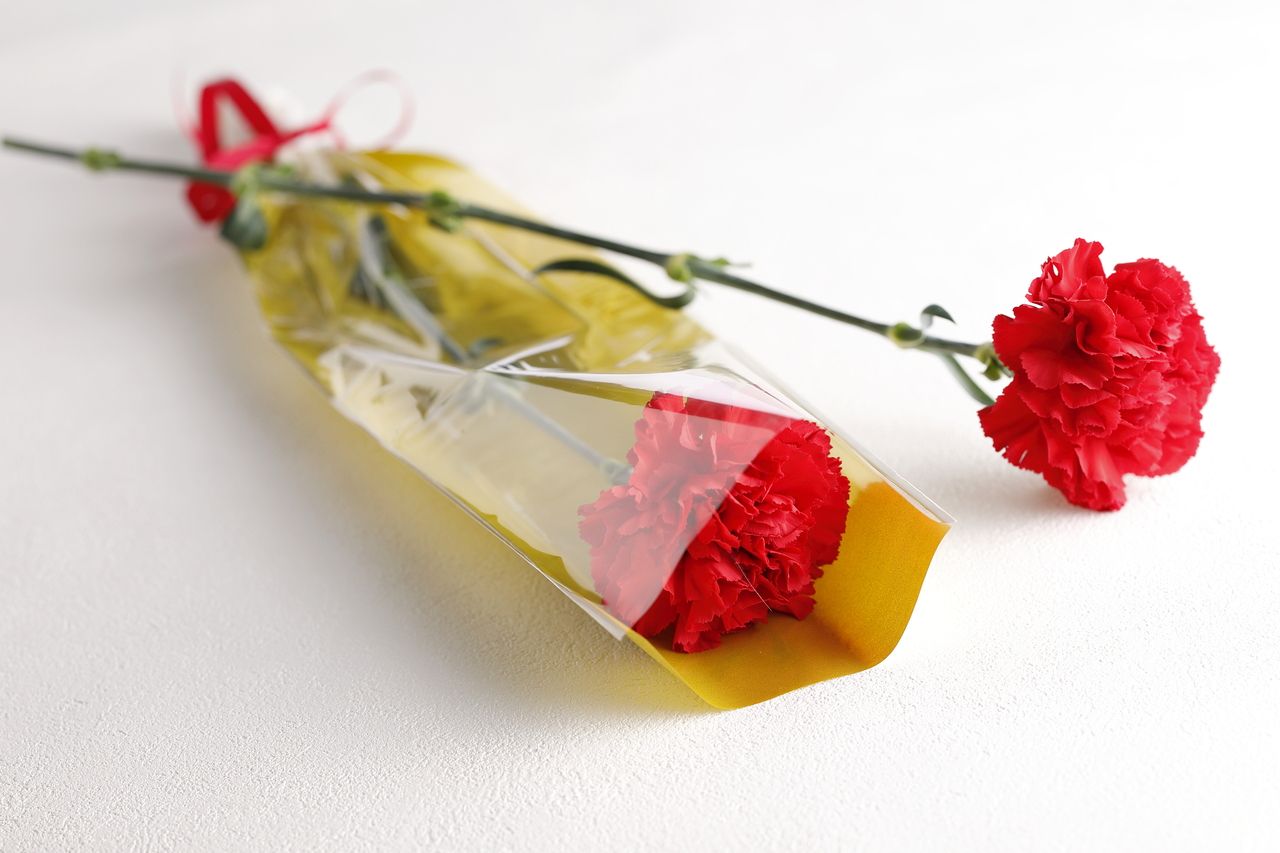 カーネーション