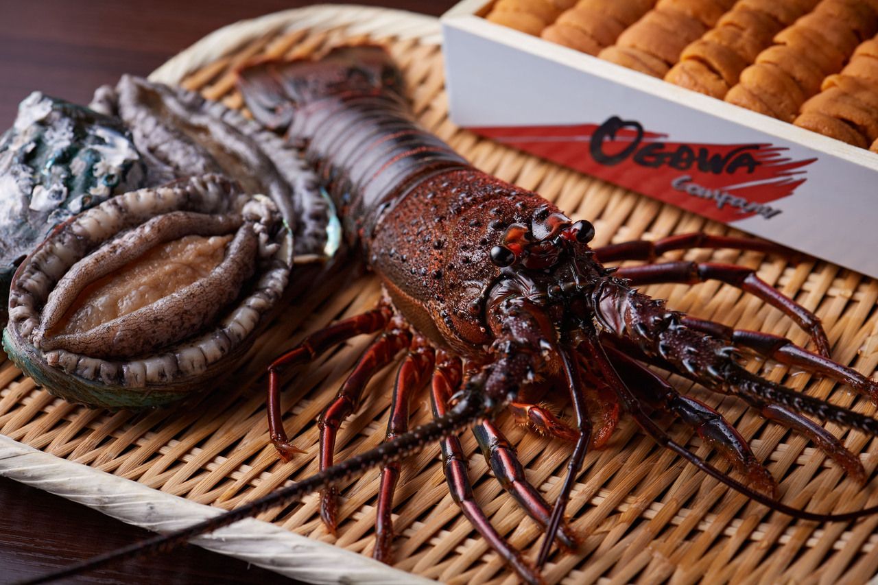 【おまかせコース】