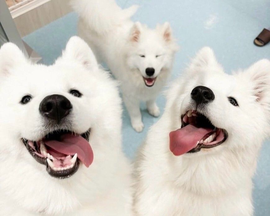 ≪Golden Week Period≫ Regular Ticket (50 minutes)