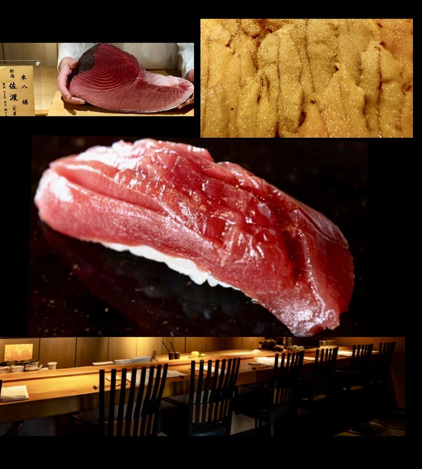 ミシュラン二つ星監修 唐津天然魚で味わう 季節のおまかせ鮨