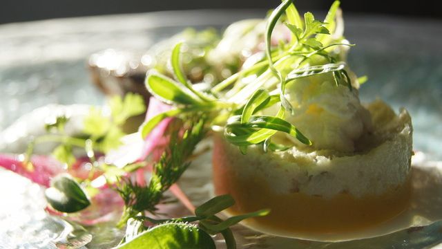 Ristorante DIVISO hayama