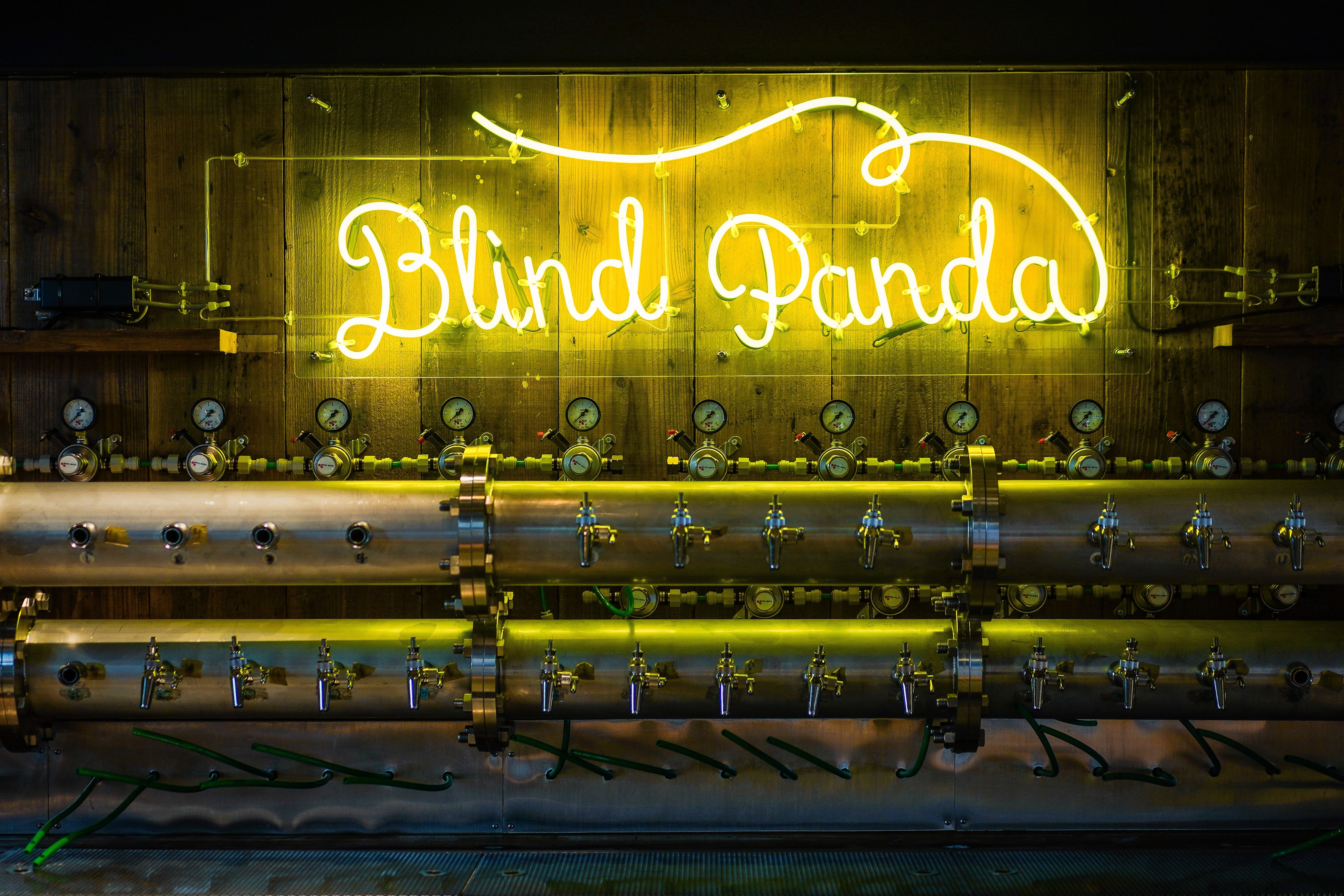 blind panda