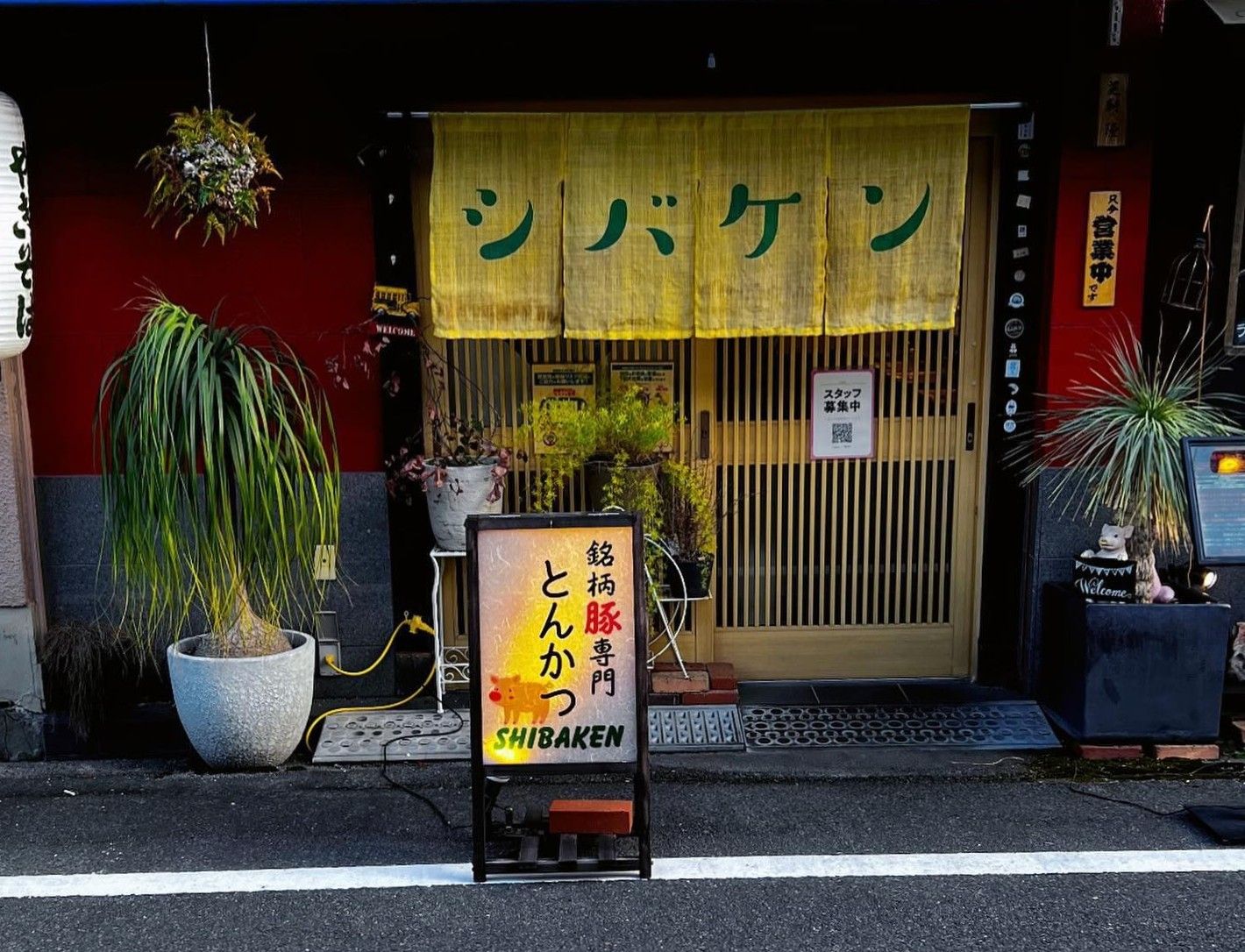 シバケン