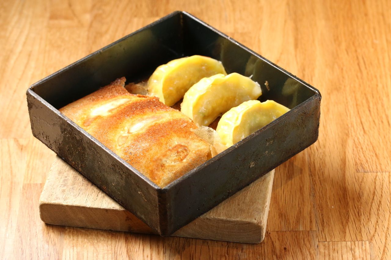 大山鶏とカボチャの羽根餃子