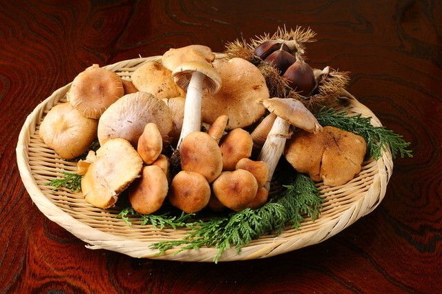 勘太郎コース（合鴨鍋）