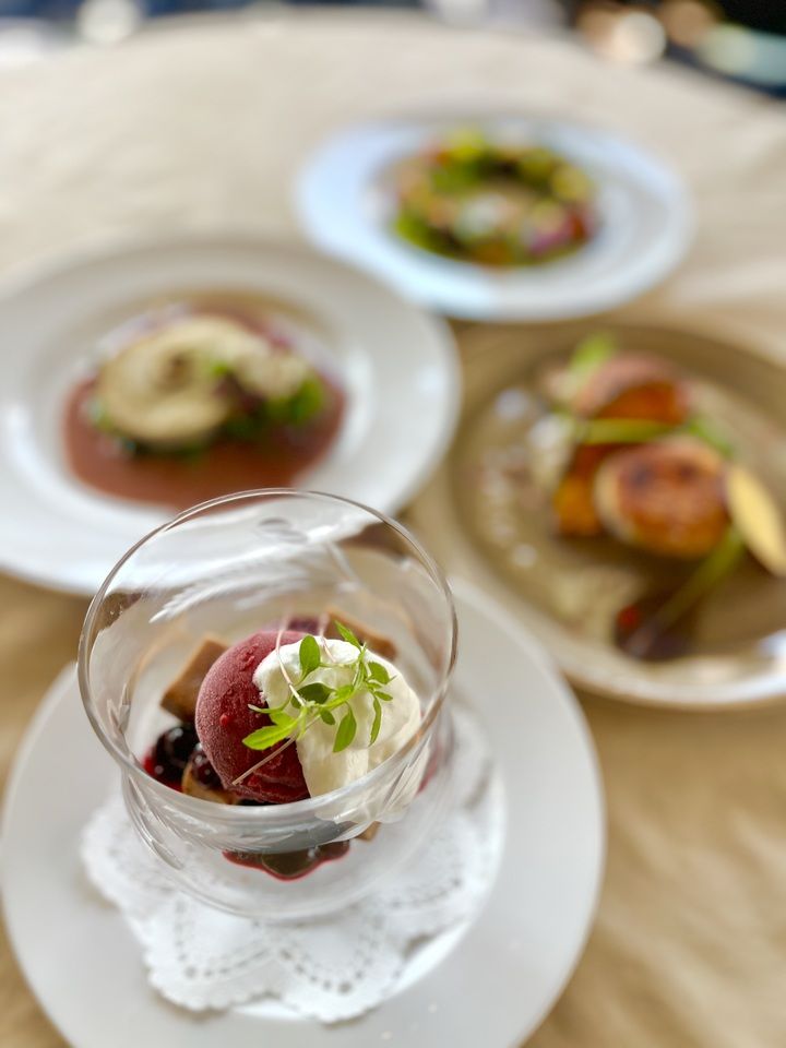 Full Course "SHIKON"