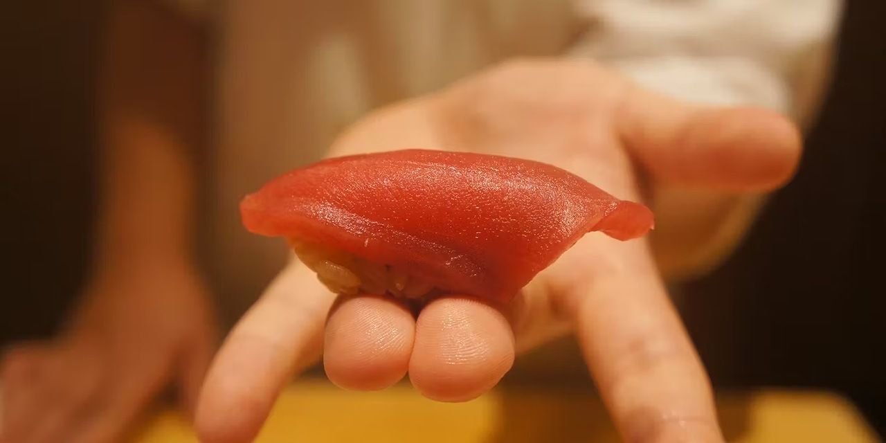 お任せコース