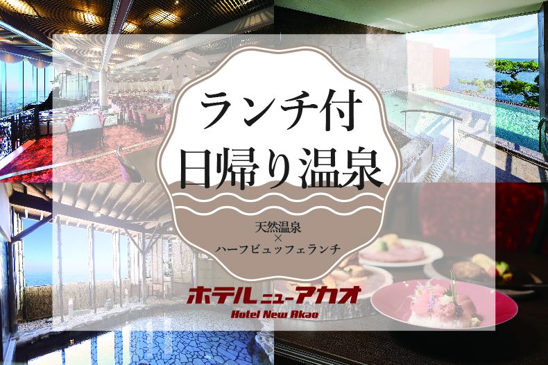 【日帰り温泉パッケージ】【大人/平日】ハーフビュッフェランチ×天然温泉を満喫
