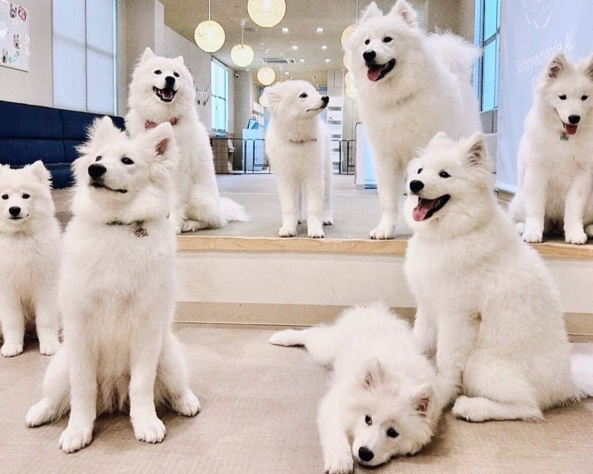  Regular ticket (50 minutes)