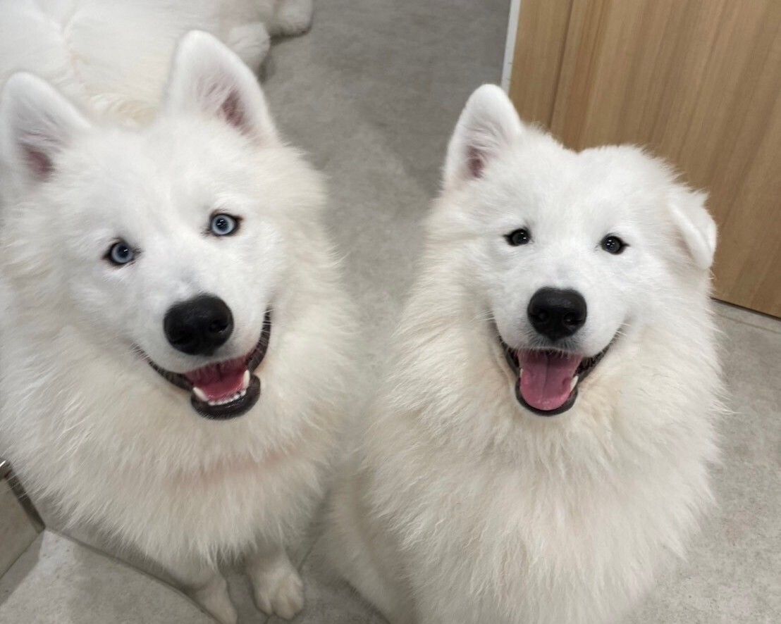 ≪토일요일 공휴일≫ 통상 티켓(50분)