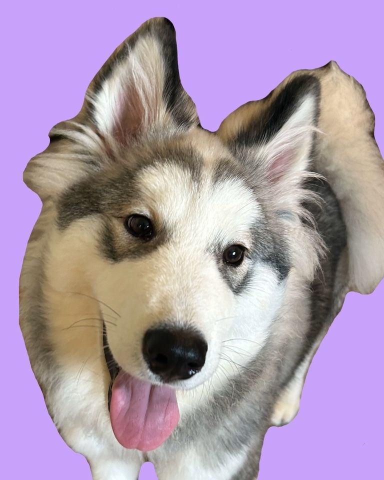 ≪Wochentage≫ Reguläres Ticket (50 Minuten)