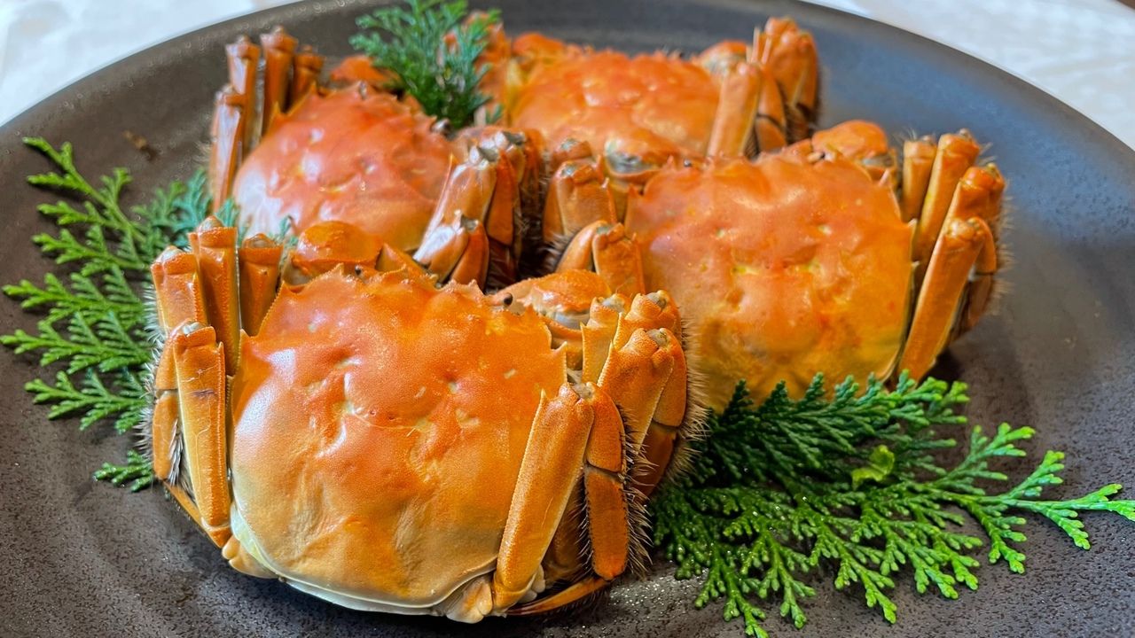 【上海蟹】　琵 琶 PIPA