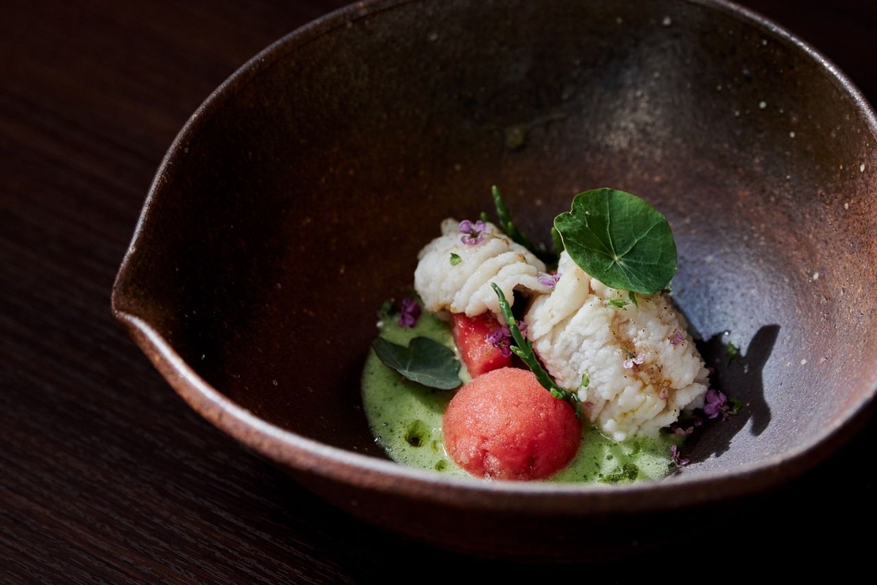 Degustazione di sai “ディナーコース“