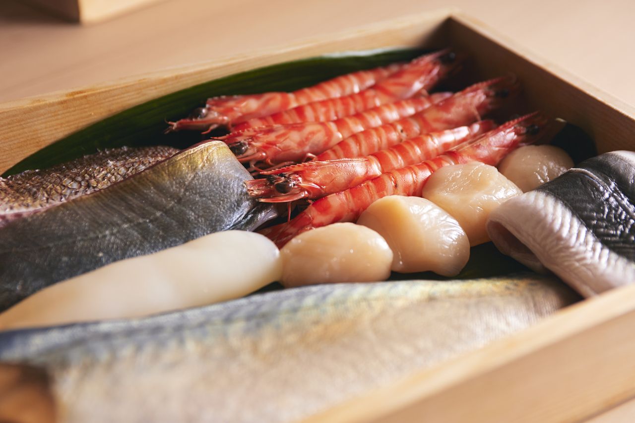 Chef's choice sushi course