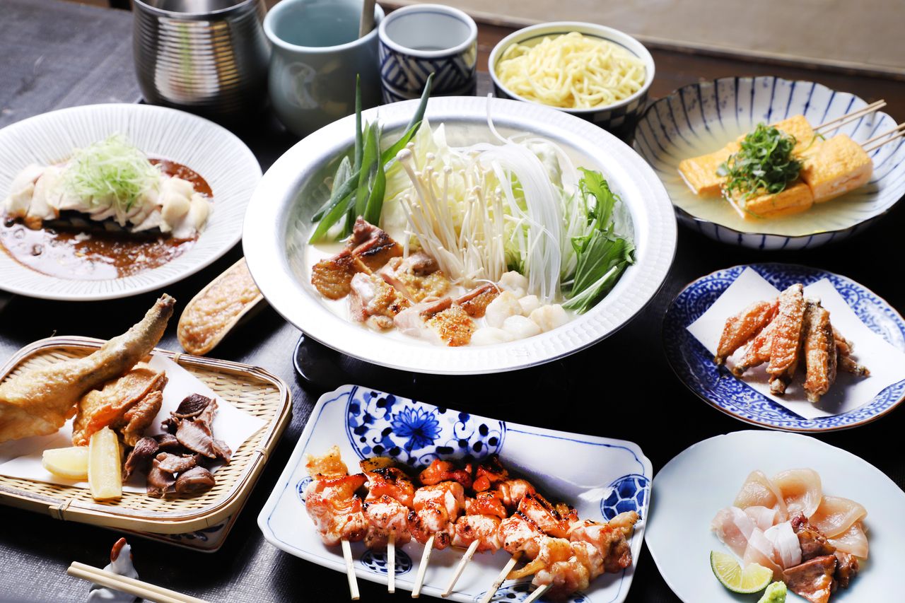 2025 Sakura Festival limited course