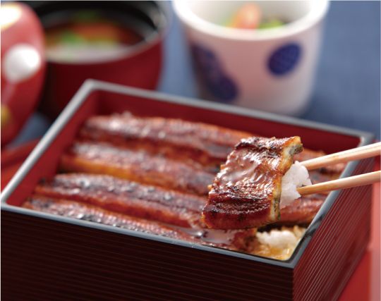  Japanese Eel on Rice